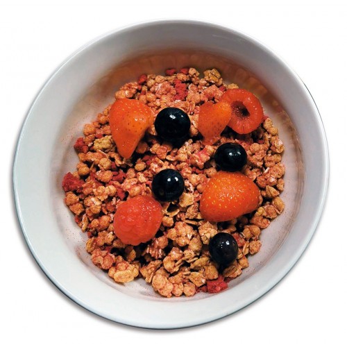 Muesli protéiné Fruits rouges Cétodiet